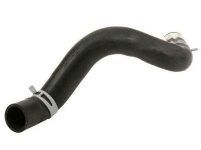 GM 10347833 Lower Hose