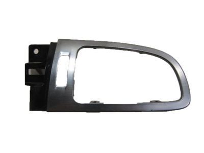 GM 20935559 Trim Plate