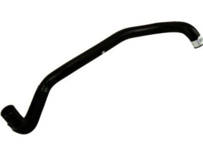 GM 25863877 Lower Hose