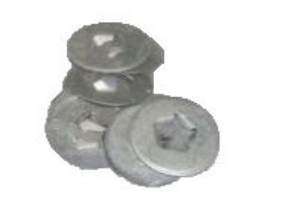 GM 10009923 Tank Shield Nut