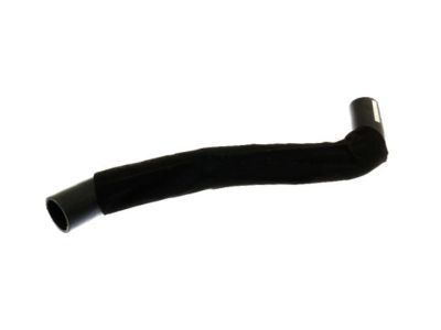 GM 22884211 Upper Hose