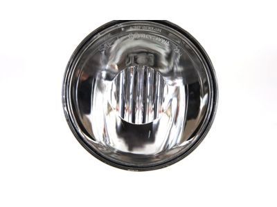 GM 16530218 Fog Lamp