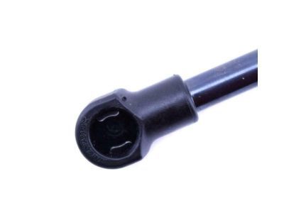 GM 19184244 Strut, Lift Gate