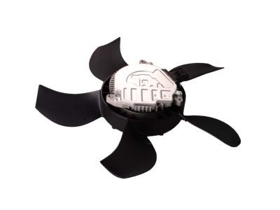 GM 84390613 Fan Motor