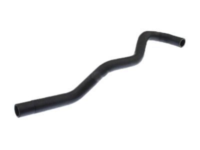 GM 96958201 Reservoir Hose