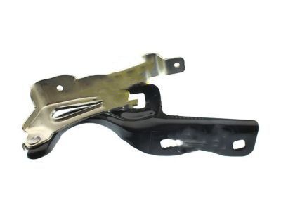 GM 9056554 Hinge