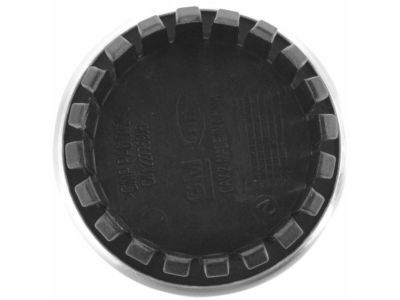 GM 92202223 Center Cap