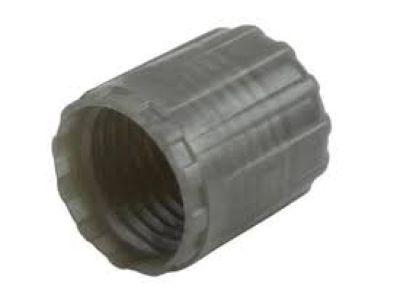 GM 15122620 Repair Kit Cap