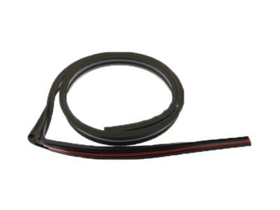 GM 21993936 Drip Weatherstrip