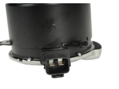 GM 19351719 Fan Motor