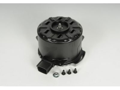 GM 19351719 Fan Motor
