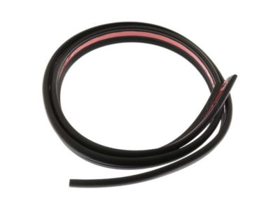 GM 15113130 Drip Weatherstrip