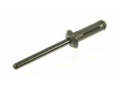 GM 92231490 Filler Molding Rivet