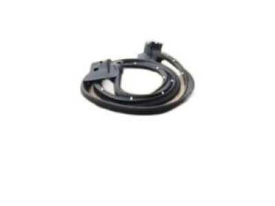 GM 12392763 Weatherstrip Asm-Sash RH