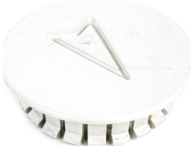 GM 10207641 Hub Cap ASSEMBLY