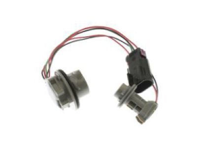 GM 25851959 Socket & Wire