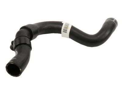 GM 13220131 Upper Hose