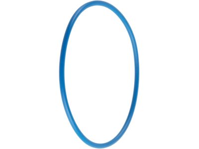 GM 12577653 Filter Cover Seal