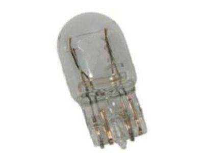 GM 13591404 Run Lamp Bulb