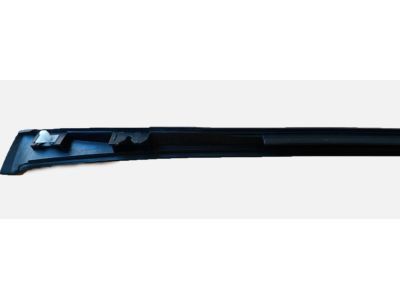 GM 84031919 Side Molding