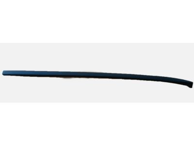 GM 84031919 Side Molding