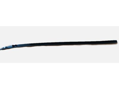 GM 84031919 Side Molding
