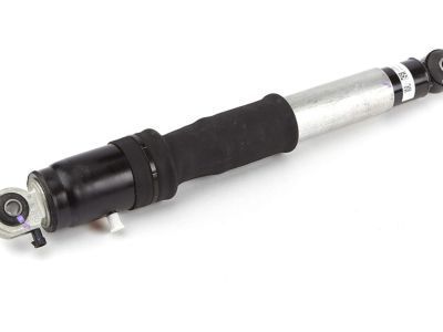 GM 19368460 Shock Absorber