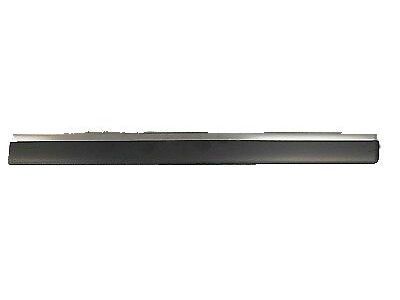 GM 22760307 Body Side Molding