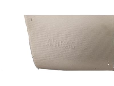 GM 95470393 Molding Asm-Windshield Garnish *Light Ttnum