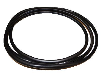 GM 22815954 Glass Weatherstrip