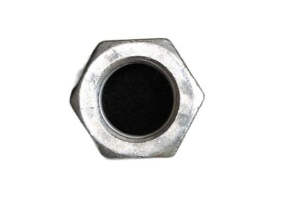 GM 11570374 Adjust Nut