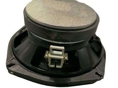 GM 84196280 Rear Door Speaker