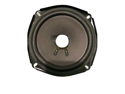 GM 84196280 Rear Door Speaker
