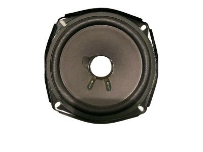 GM 84196280 Rear Door Speaker