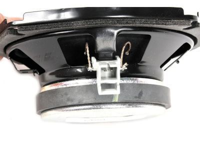 GM 84196280 Rear Door Speaker