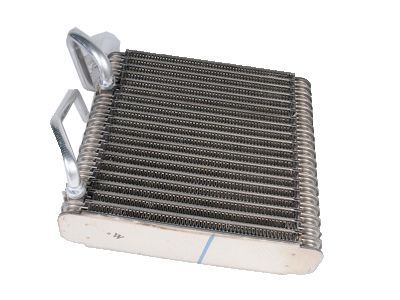 GM 89019026 Evaporator Kit, A/C