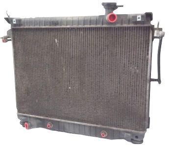 GM 15196385 Radiator Assembly