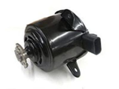 GM 89018690 Fan Motor