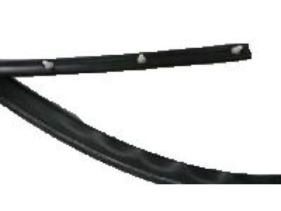 GM 22614341 Weatherstrip Asm-Roof Side Rail