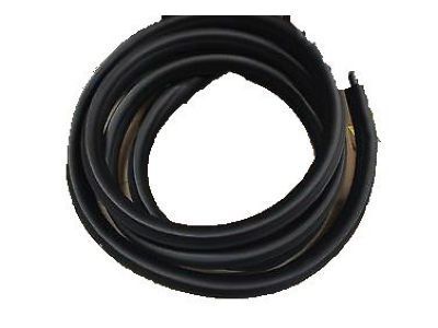 GM 22766410 Surround Weatherstrip