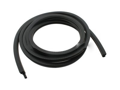 GM 15063154 Weatherstrip