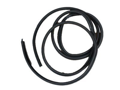 GM 15063154 Weatherstrip