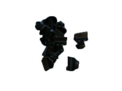 GM 11610049 Trim Cover Nut