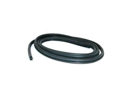 GM 15097864 Weatherstrip Asm-Rear Side Door T