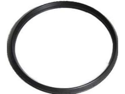 GM 12579369 Gasket