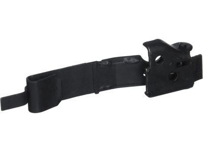 GM 15806151 Check Strap