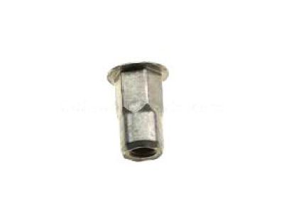 GM 11609317 Side Rail Nut