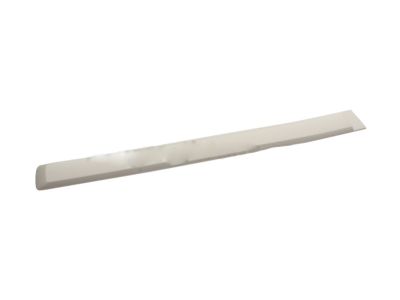 GM 25991893 Body Side Molding