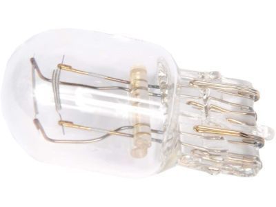 GM 13591403 Stoplamp Bulb