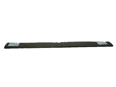 GM 25991768 Body Side Molding